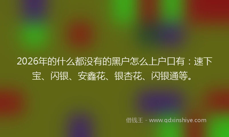 2026年的什么都没有的黑户怎么上户口有：速下宝、闪银、安鑫花、银杏花、闪银通等。
