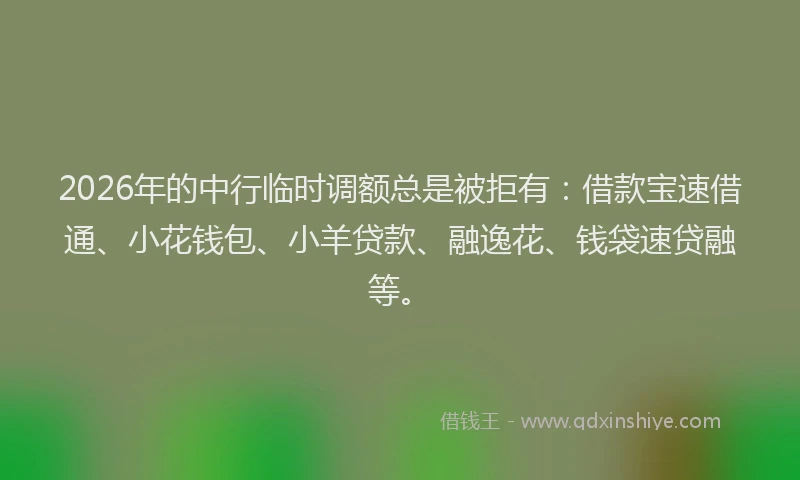 2026年的中行临时调额总是被拒有：借款宝速借通、小花钱包、小羊贷款、融逸花、钱袋速贷融等。