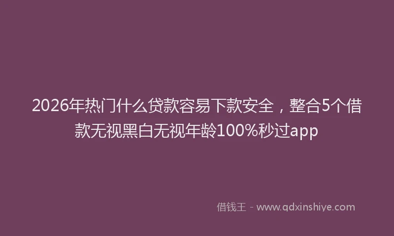 2026年热门什么贷款容易下款安全，整合5个借款无视黑白无视年龄100%秒过app