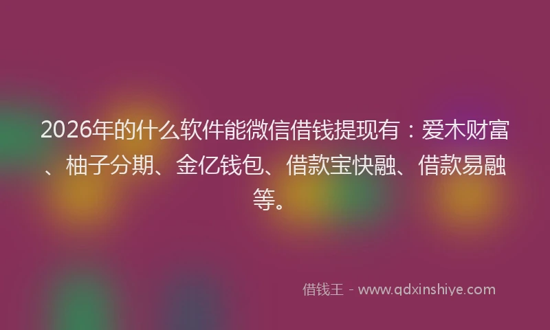 2026年的什么软件能微信借钱提现有：爱木财富、柚子分期、金亿钱包、借款宝快融、借款易融等。