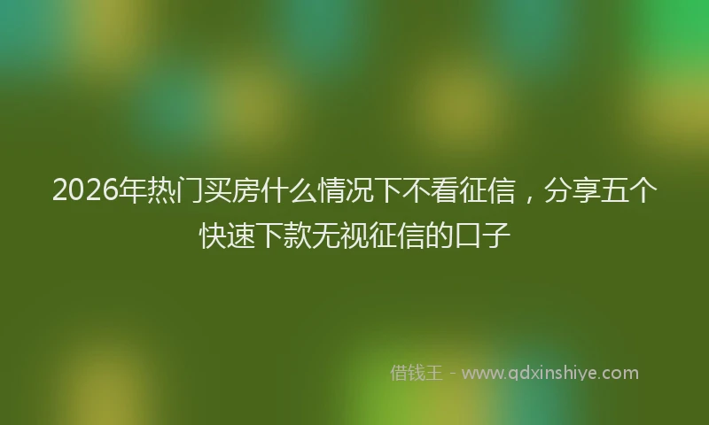 2026年热门买房什么情况下不看征信，分享五个快速下款无视征信的口子