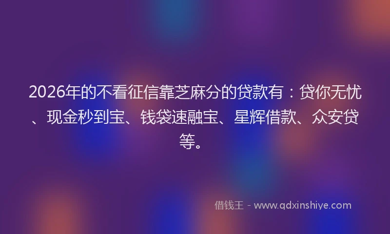 2026年的不看征信靠芝麻分的贷款有：贷你无忧、现金秒到宝、钱袋速融宝、星辉借款、众安贷等。