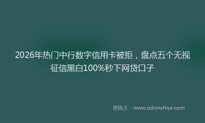 2026年热门中行数字信用卡被拒，盘点五个无视征信黑白100%秒下网贷口子