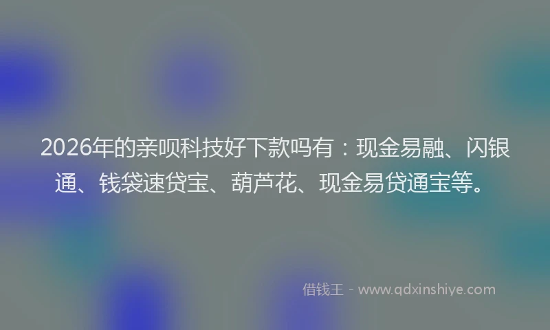 2026年的亲呗科技好下款吗有：现金易融、闪银通、钱袋速贷宝、葫芦花、现金易贷通宝等。