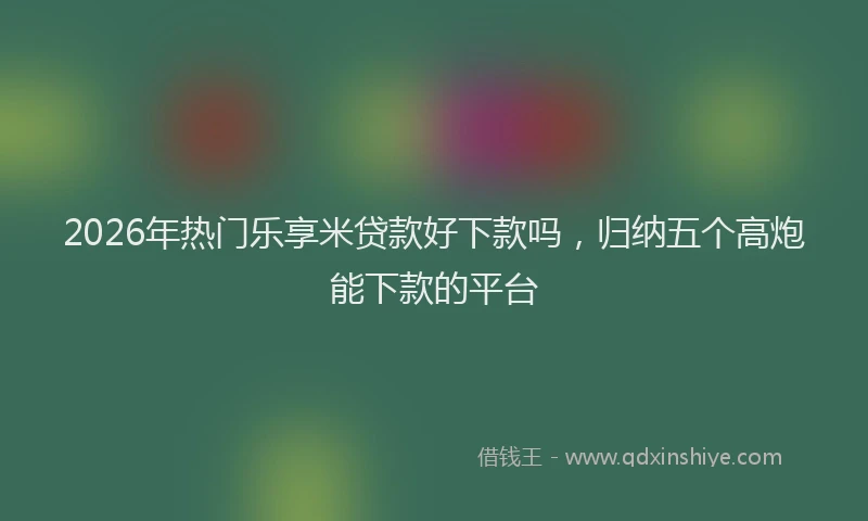 2026年热门乐享米贷款好下款吗，归纳五个高炮能下款的平台