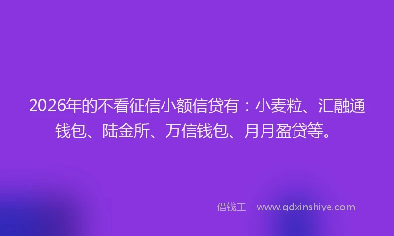 2026年的不看征信小额信贷有：小麦粒、汇融通钱包、陆金所、万信钱包、月月盈贷等。