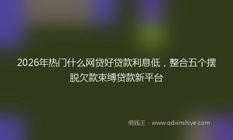 2026年热门什么网贷好贷款利息低，整合五个摆脱欠款束缚贷款新平台