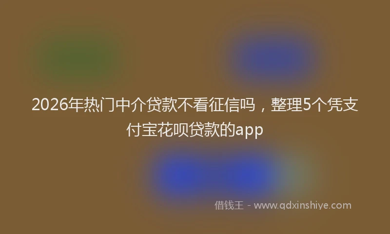 2026年热门中介贷款不看征信吗，整理5个凭支付宝花呗贷款的app