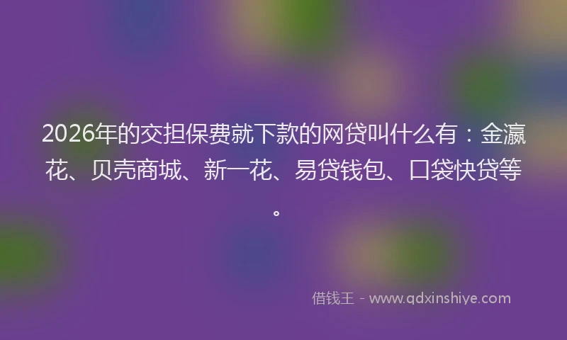 2026年的交担保费就下款的网贷叫什么有：金瀛花、贝壳商城、新一花、易贷钱包、口袋快贷等。