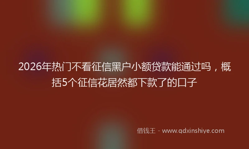 2026年热门不看征信黑户小额贷款能通过吗，概括5个征信花居然都下款了的口子