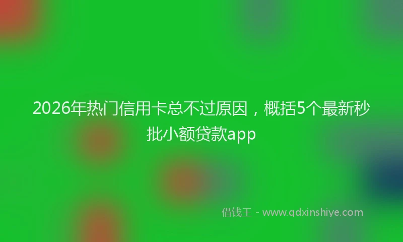 2026年热门信用卡总不过原因，概括5个最新秒批小额贷款app