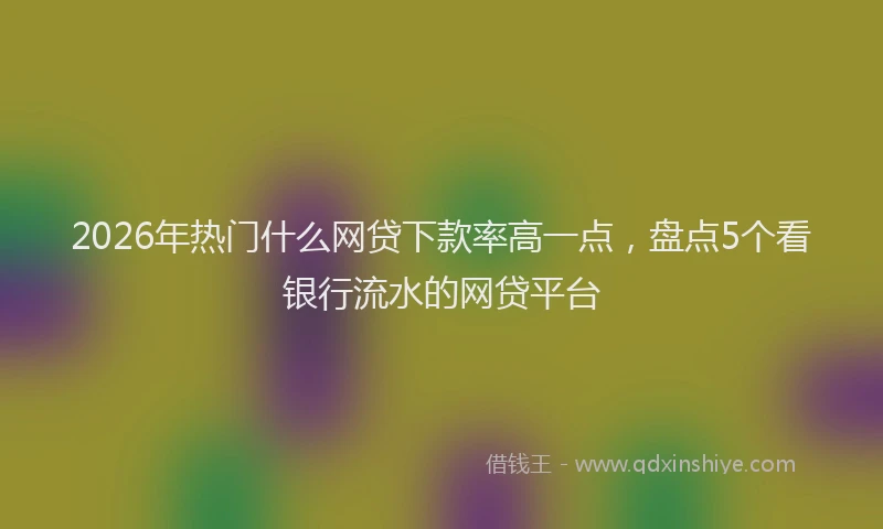 2026年热门什么网贷下款率高一点，盘点5个看银行流水的网贷平台