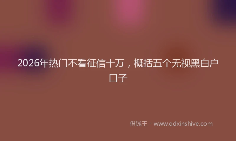 2026年热门不看征信十万，概括五个无视黑白户口子
