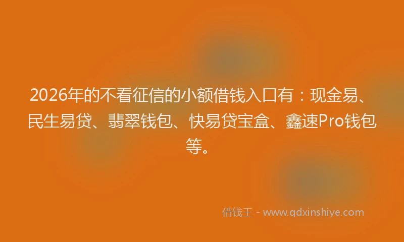 2026年的不看征信的小额借钱入口有：现金易、民生易贷、翡翠钱包、快易贷宝盒、鑫速Pro钱包等。