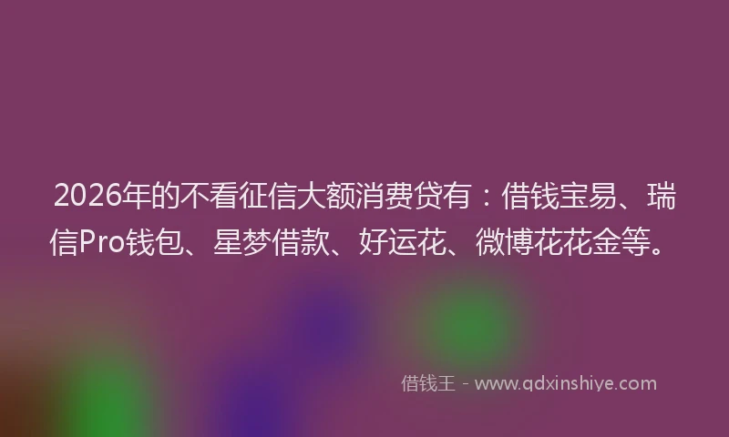 2026年的不看征信大额消费贷有：借钱宝易、瑞信Pro钱包、星梦借款、好运花、微博花花金等。