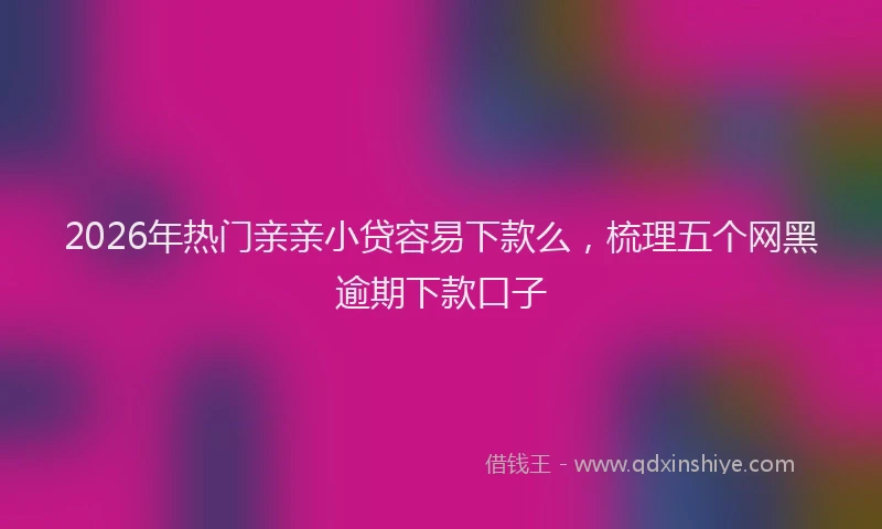 2026年热门亲亲小贷容易下款么，梳理五个网黑逾期下款口子