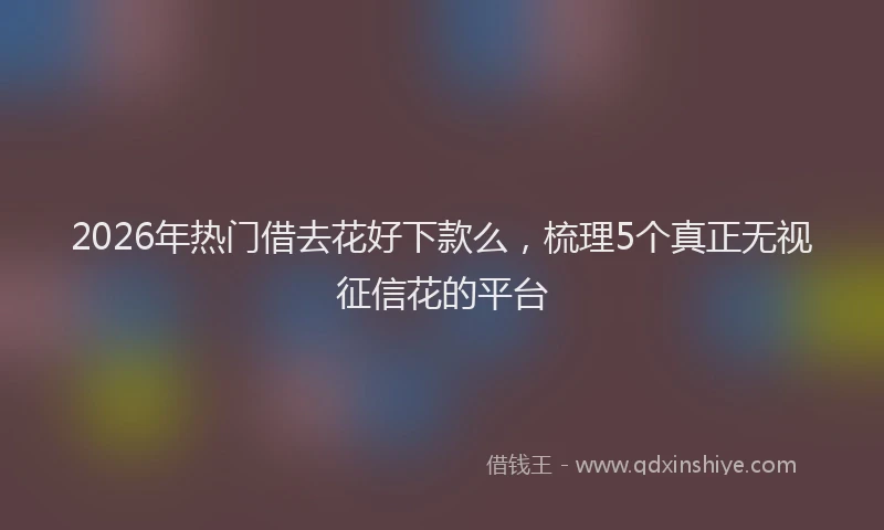 2026年热门借去花好下款么，梳理5个真正无视征信花的平台