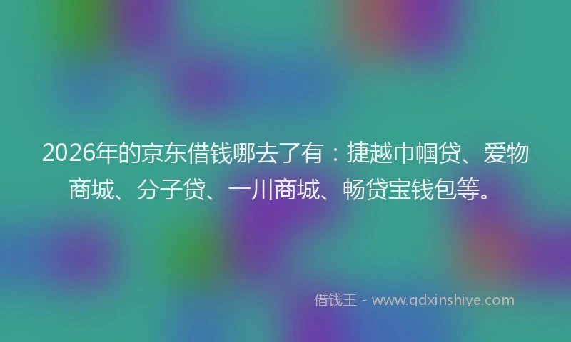 2026年的京东借钱哪去了有：捷越巾帼贷、爱物商城、分子贷、一川商城、畅贷宝钱包等。