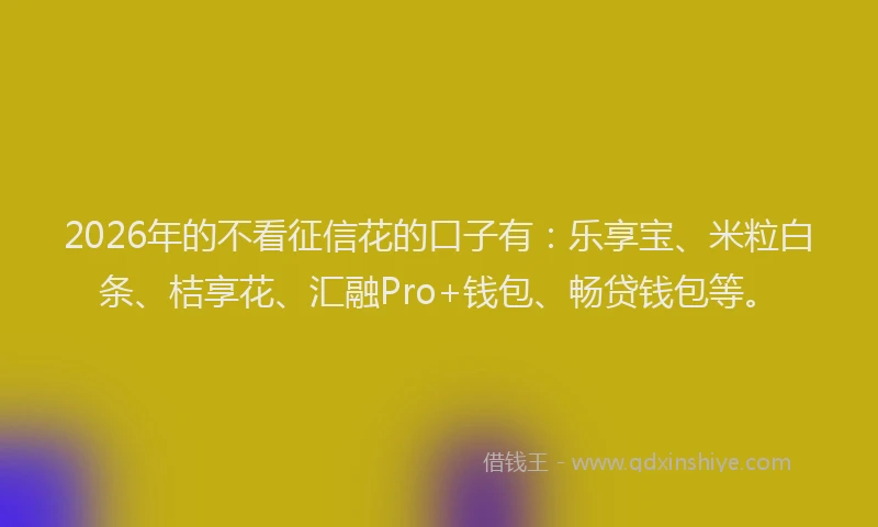 2026年的不看征信花的口子有：乐享宝、米粒白条、桔享花、汇融Pro+钱包、畅贷钱包等。