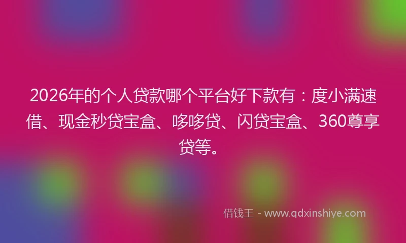 2026年的个人贷款哪个平台好下款有：度小满速借、现金秒贷宝盒、哆哆贷、闪贷宝盒、360尊享贷等。