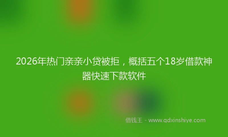 2026年热门亲亲小贷被拒，概括五个18岁借款神器快速下款软件