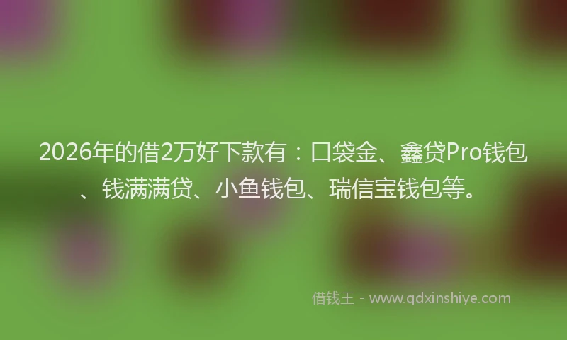 2026年的借2万好下款有：口袋金、鑫贷Pro钱包、钱满满贷、小鱼钱包、瑞信宝钱包等。