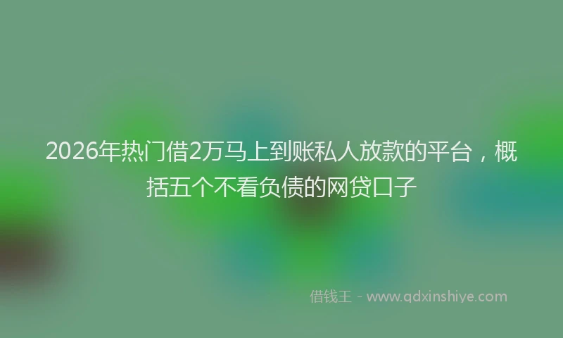 2026年热门借2万马上到账私人放款的平台，概括五个不看负债的网贷口子