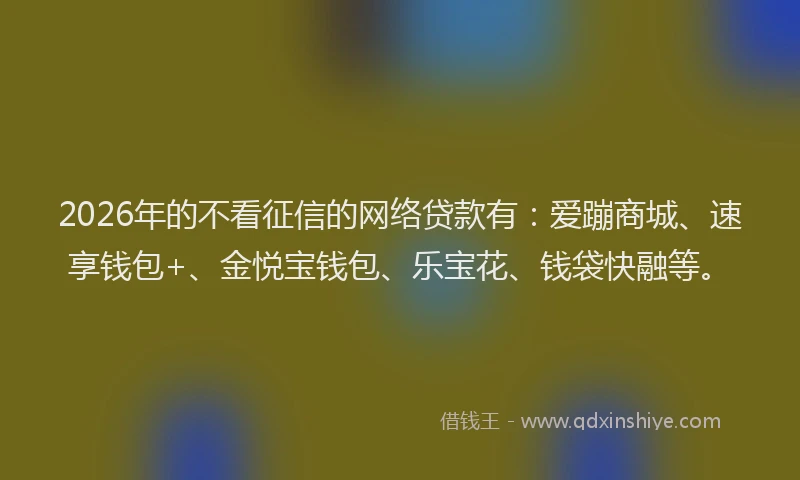 2026年的不看征信的网络贷款有：爱蹦商城、速享钱包+、金悦宝钱包、乐宝花、钱袋快融等。