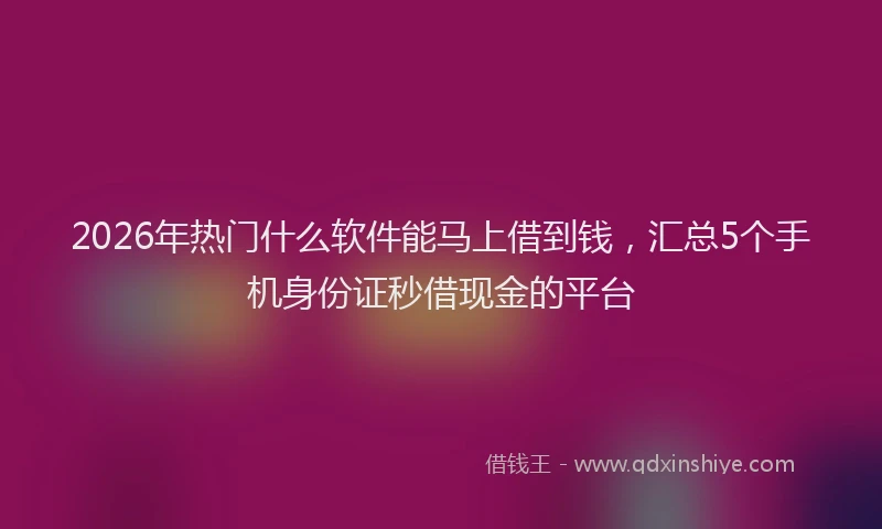 2026年热门什么软件能马上借到钱，汇总5个手机身份证秒借现金的平台