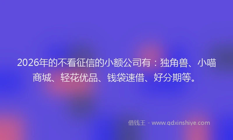 2026年的不看征信的小额公司有：独角兽、小喵商城、轻花优品、钱袋速借、好分期等。
