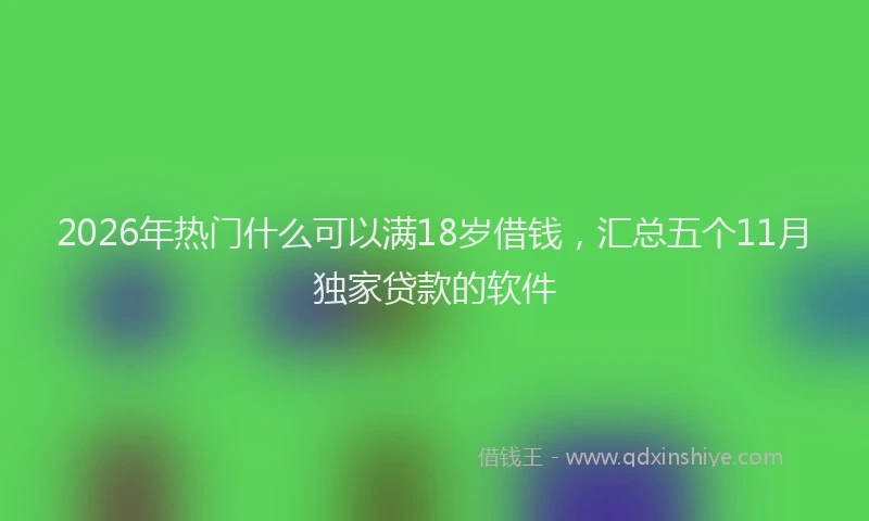 2026年热门什么可以满18岁借钱，汇总五个11月独家贷款的软件