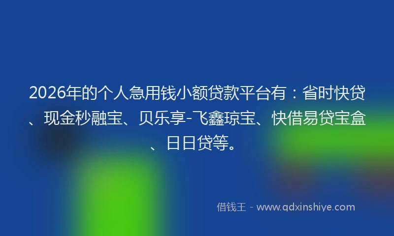 2026年的个人急用钱小额贷款平台有：省时快贷、现金秒融宝、贝乐享-飞鑫琼宝、快借易贷宝盒、日日贷等。