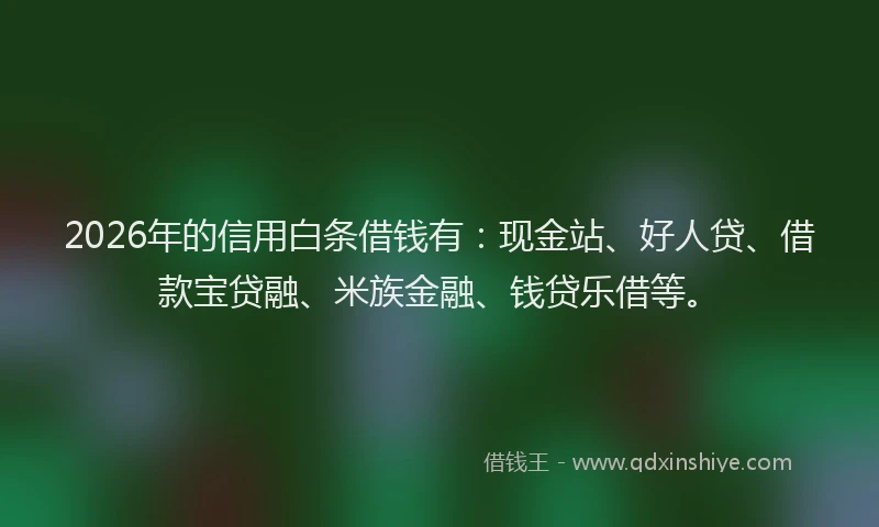 2026年的信用白条借钱有：现金站、好人贷、借款宝贷融、米族金融、钱贷乐借等。