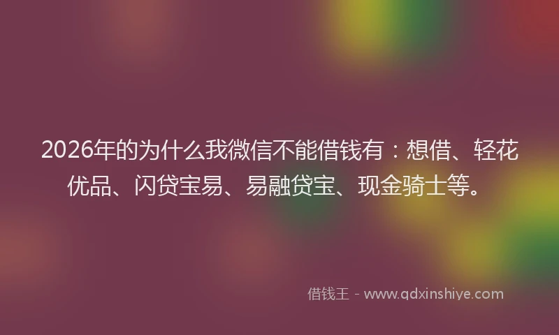 2026年的为什么我微信不能借钱有：想借、轻花优品、闪贷宝易、易融贷宝、现金骑士等。