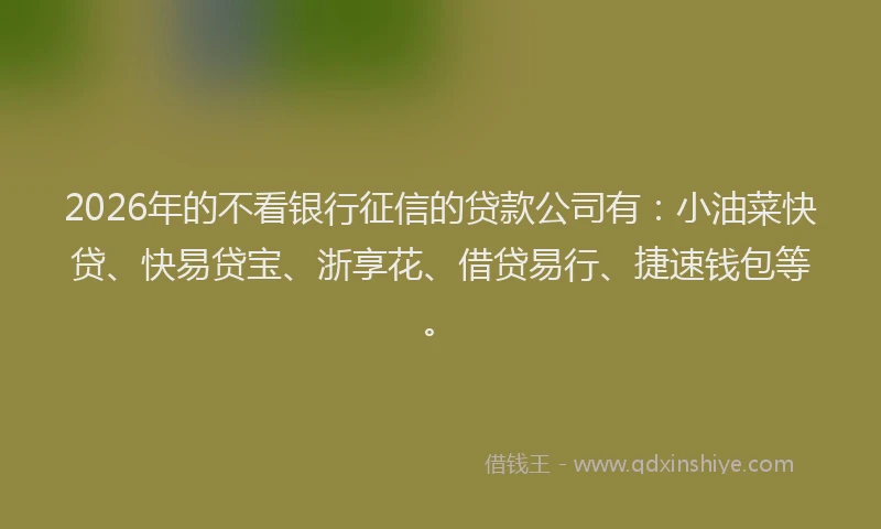 2026年的不看银行征信的贷款公司有：小油菜快贷、快易贷宝、浙享花、借贷易行、捷速钱包等。