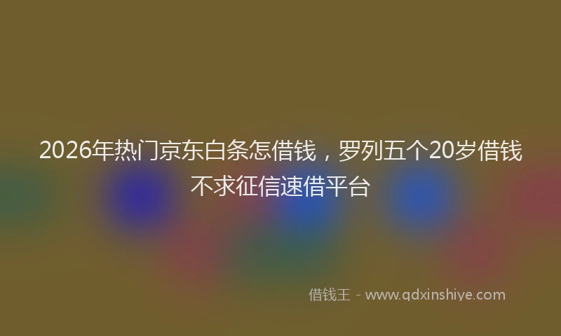 2026年热门京东白条怎借钱，罗列五个20岁借钱不求征信速借平台