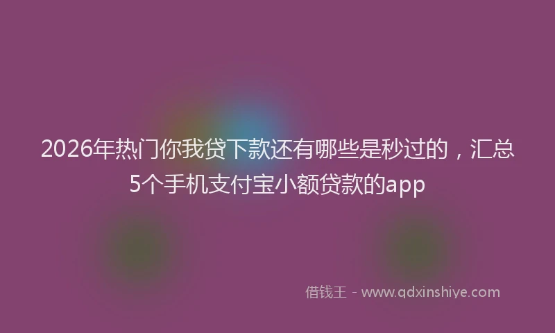 2026年热门你我贷下款还有哪些是秒过的，汇总5个手机支付宝小额贷款的app