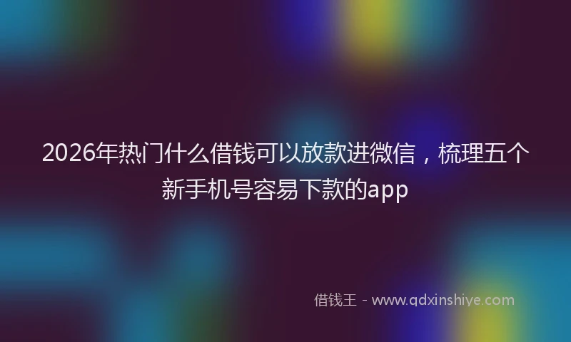 2026年热门什么借钱可以放款进微信，梳理五个新手机号容易下款的app