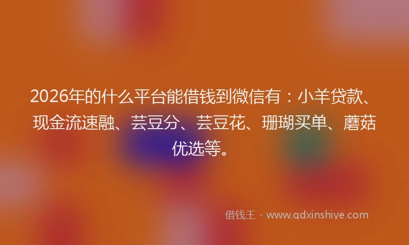 2026年的什么平台能借钱到微信有：小羊贷款、现金流速融、芸豆分、芸豆花、珊瑚买单、蘑菇优选等。