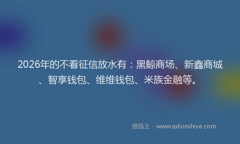 2026年的不看征信放水有：黑鲸商场、新鑫商城、智享钱包、维维钱包、米族金融等。