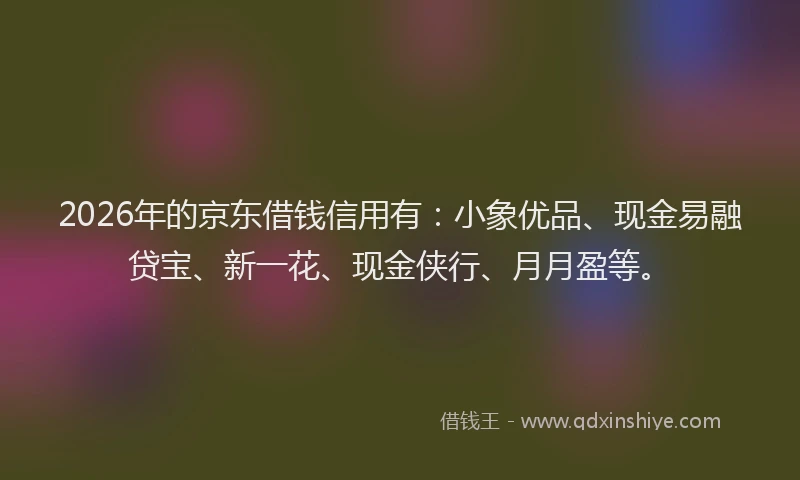 2026年的京东借钱信用有：小象优品、现金易融贷宝、新一花、现金侠行、月月盈等。