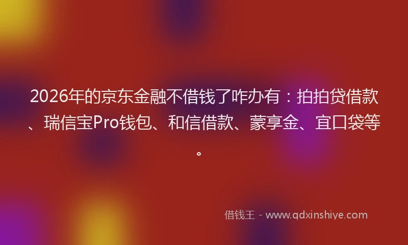 2026年的京东金融不借钱了咋办有：拍拍贷借款、瑞信宝Pro钱包、和信借款、蒙享金、宜口袋等。
