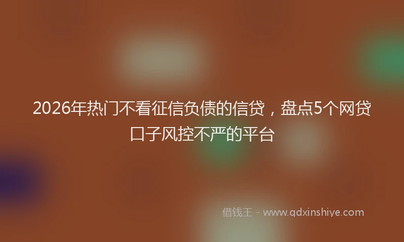 2026年热门不看征信负债的信贷，盘点5个网贷口子风控不严的平台