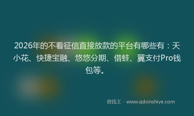2026年的不看征信直接放款的平台有哪些有：天小花、快捷宝融、悠悠分期、借蛙、翼支付Pro钱包等。