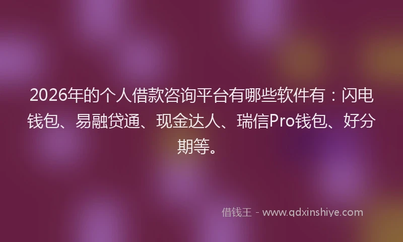 2026年的个人借款咨询平台有哪些软件有：闪电钱包、易融贷通、现金达人、瑞信Pro钱包、好分期等。