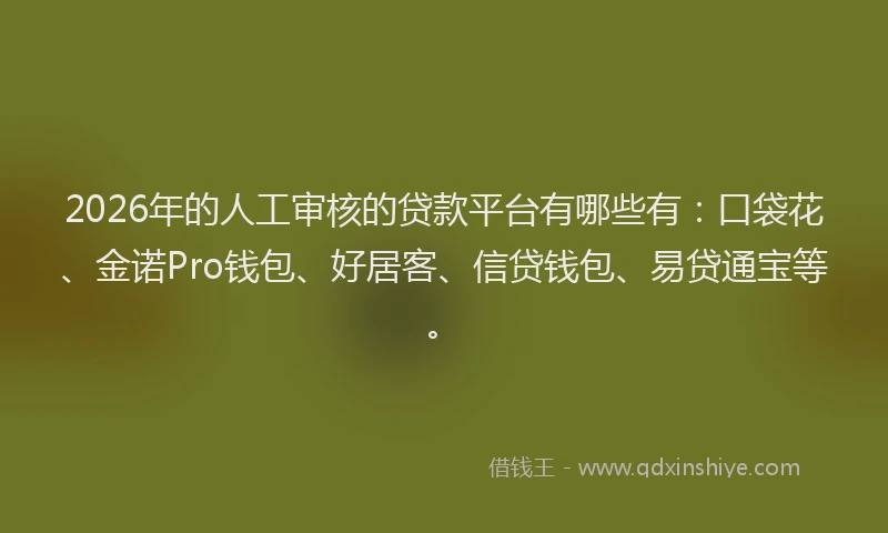 2026年的人工审核的贷款平台有哪些有：口袋花、金诺Pro钱包、好居客、信贷钱包、易贷通宝等。