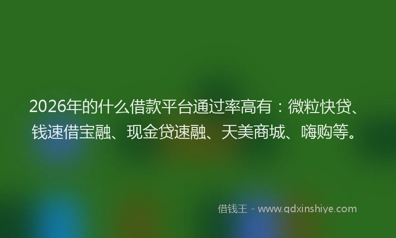 2026年的什么借款平台通过率高有：微粒快贷、钱速借宝融、现金贷速融、天美商城、嗨购等。