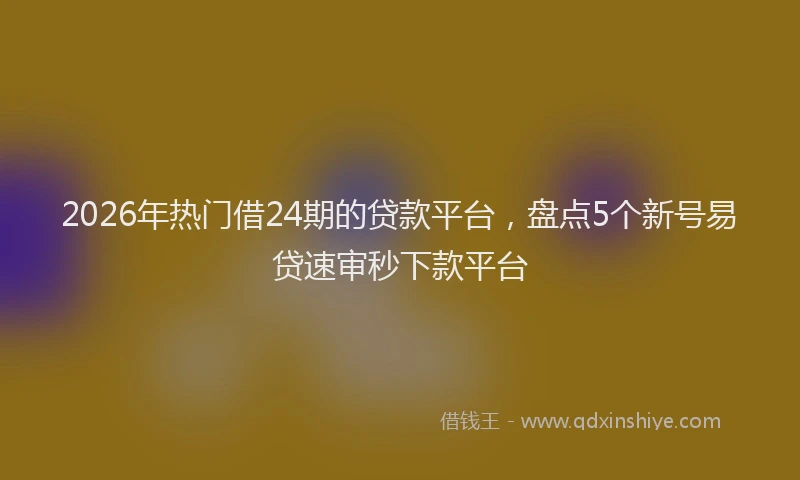 2026年热门借24期的贷款平台，盘点5个新号易贷速审秒下款平台