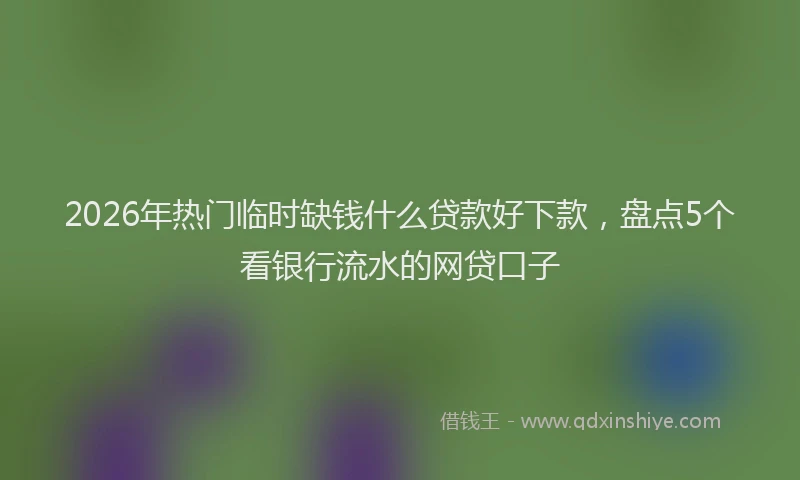 2026年热门临时缺钱什么贷款好下款，盘点5个看银行流水的网贷口子