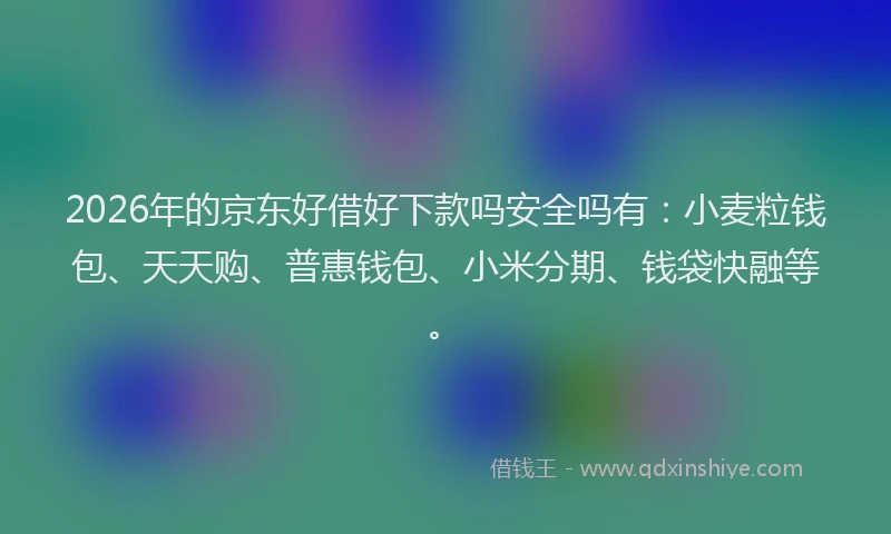 2026年的京东好借好下款吗安全吗有：小麦粒钱包、天天购、普惠钱包、小米分期、钱袋快融等。